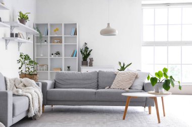 Gri koltuklu, kahve masalı ve büyük pencereli aydınlık oturma odasının içi.