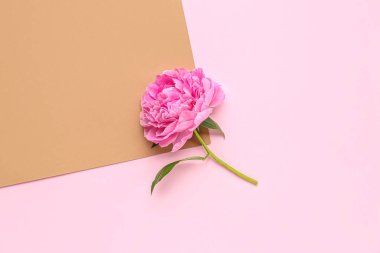 Renkli arkaplanda taze şakayık çiçeği