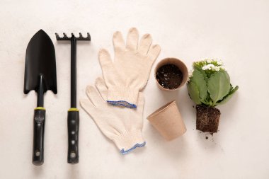 Farklı bahçe aletleri ve hafif arka planda bitki