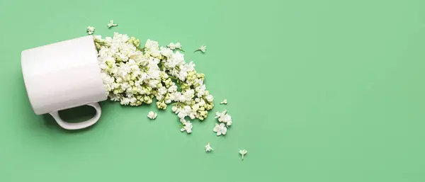 Cup White Lilac Flowers Green Background — Stock Photo, Image