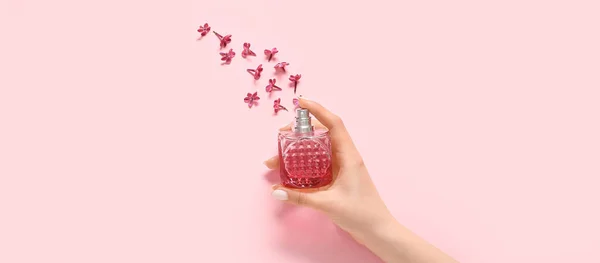 女性的手 瓶装香水和淡紫色的花粉红色背景 顶部视图 — 图库照片