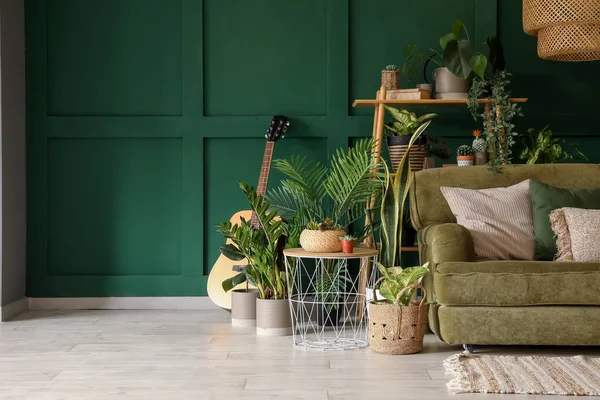 Wnętrze Salonu Zieloną Sofą Roślinami Domowymi — Zdjęcie stockowe