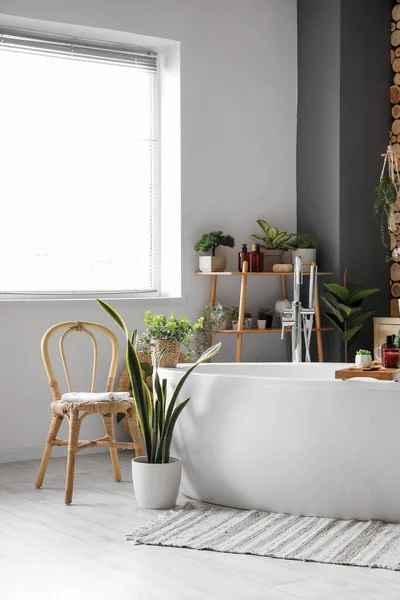 緑の植物とバスタブ付きのバスルームのインテリア — ストック写真