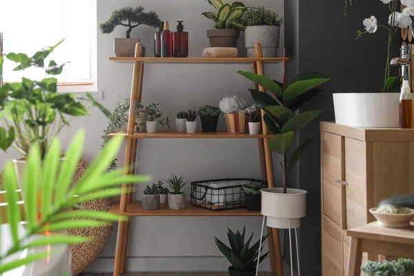 Regaleinheit Mit Grünen Zimmerpflanzen Und Badaccessoires Zimmer — Stockfoto