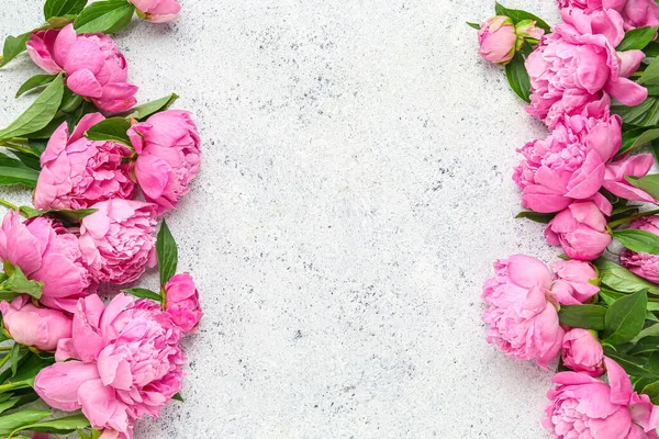 Samenstelling Met Roze Pioenroos Bloemen Lichte Achtergrond — Stockfoto