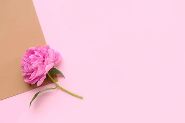 Stock image Fresh peony flower on color background