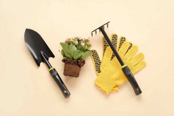 일구고 정원을 가꾸는 도구가 화초들이 — 스톡 사진