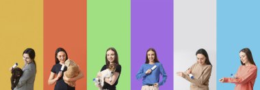 Evcil hayvanları ve renk geçmişleri olan pamuklu bezleri olan genç kadınların kolajı