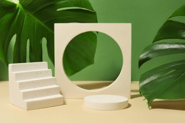 Plaster podyumlar ve canavar yaprakları yeşil arka planda bej masa üzerinde