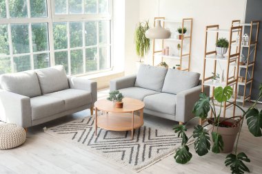 Gri kanepeleri, kahve masası, ev bitkileri ve büyük pencereli aydınlık oturma odasının içi.