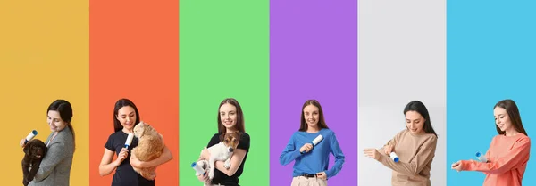 Колаж Молодих Жінок Домашніми Тваринами Фіолетовими Роликами Кольоровому Фоні — стокове фото
