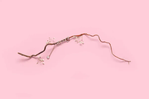 Tree Branch Beautiful Pearl Necklace Gypsophila Flowers Pink Background — Stock Photo, Image