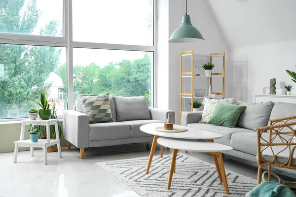 Interior Ruang Tamu Cahaya Dengan Tanaman Sofa Dan Meja Kopi — Stok Foto