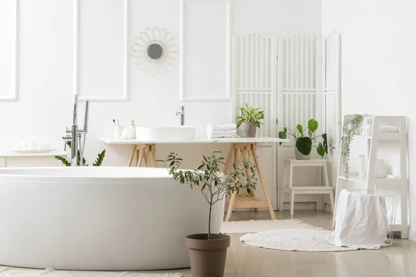 白いシンク バスタブ 観葉植物と光浴のインテリア — ストック写真