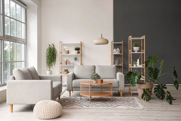 Interior Light Living Room Grey Sofas Wooden Coffee Table Houseplants — Stock Photo, Image