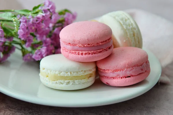 Plate Sweet Macaroons Beautiful Flowers Pink Background — Stock Photo, Image