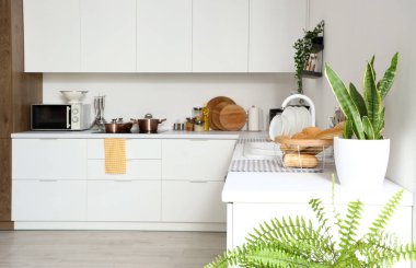 Beyaz mobilyalar ve ev bitkileriyle modern mutfağın içinde.