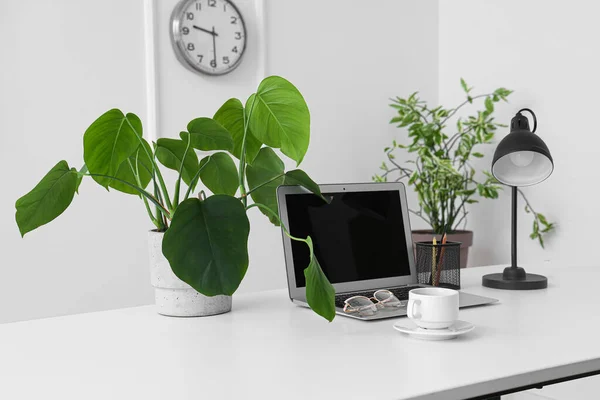 Modern Workspace Laptop Coffee Cup Houseplant White Table — Stock Photo, Image
