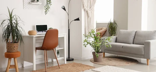 Interior Light Living Room Grey Sofa Modern Workplace Houseplants — Stock Photo, Image