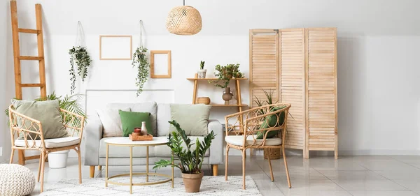 현대적인 식물과 의자와 가벼운 거실의 인테리어 — 스톡 사진