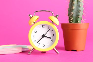 Pembe arka planda çalar saat, kalem ve kaktüs.