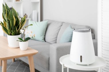 Modern nemlendirici oturma odasının içindeki masada.