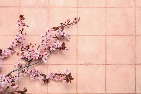 Kwitnące Gałęzie Beżowym Tle Płytek — Zdjęcie stockowe