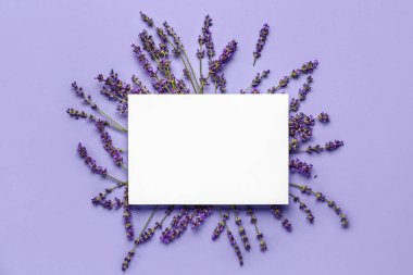 Boş kağıt çarşaf ve mavi arka planda güzel lavanta çiçekleri.