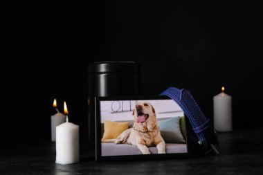 Üzerinde köpek, tasma, morg vazosu ve koyu arka planda yanan mumlar olan çerçeve. Hayvan cenazesi