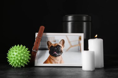 İçinde köpek, morg vazosu, oyuncak top ve koyu arkaplanda yanan mumlar olan çerçeve. Hayvan cenazesi