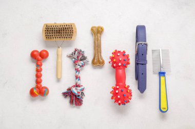 Hafif arka planda hayvan bakımı aksesuarları ve tasma.