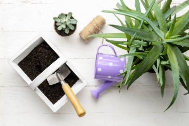 Hafif ahşap arka planda ev bitkileri, toprak ve sulama konservesi bileşimi