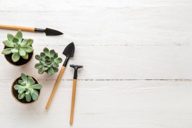 Bahçıvanlık araçları ve hafif ahşap arka planda sulu kompozisyon