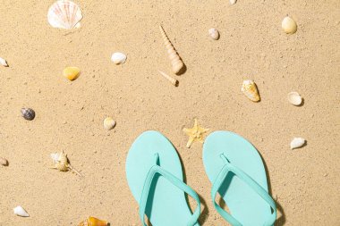 Havalı parmak arası terlikler ve kumsalda farklı deniz kabukları.