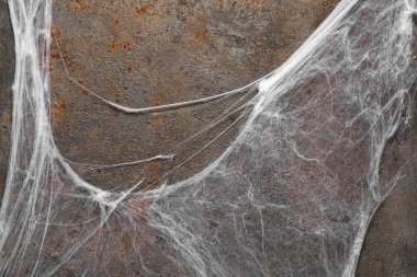 Kahverengi arka planda örümcek ağı. Cadılar Bayramı