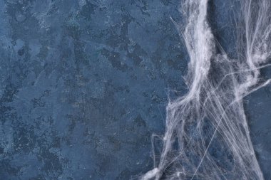 Mavi arka planda örümcek ağı. Cadılar Bayramı