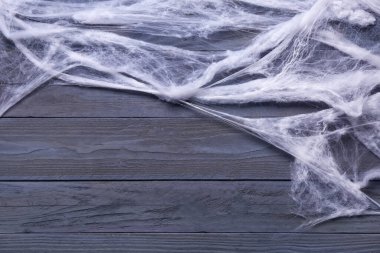 Mavi ahşap arka planda örümcek ağı. Cadılar Bayramı