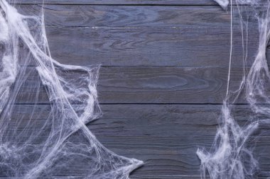 Mavi ahşap arka planda örümcek ağı. Cadılar Bayramı