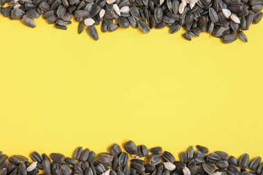 Sarı arkaplanda ayçiçeği tohumları