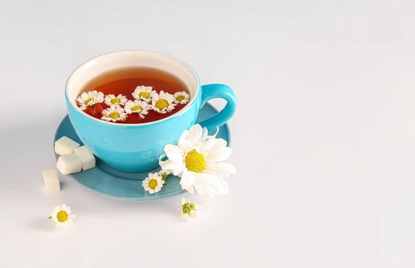 白を基調とした天然カモミールティーと花のカップ — ストック写真
