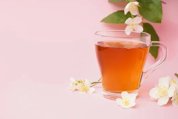 ピンクの背景に紅茶と美しいジャスミンの花のガラスカップ — ストック写真