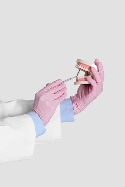 Mãos Médico Feminino Com Espelho Dental Modelo Mandíbula Fundo Cinza — Fotografia de Stock