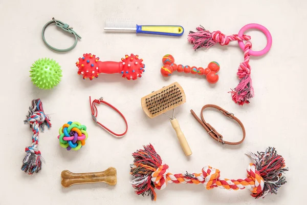 Set of different pet care accessories and toys on light background