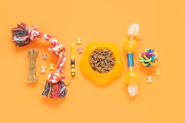 Composition with different pet care accessories and dry food on color background