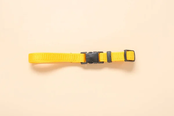 Yellow Pet Collar Color Background — Stock Photo, Image