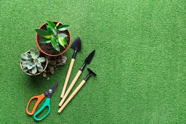 Set Von Gartengeräten Und Pflanzen Auf Farbigem Hintergrund — Stockfoto