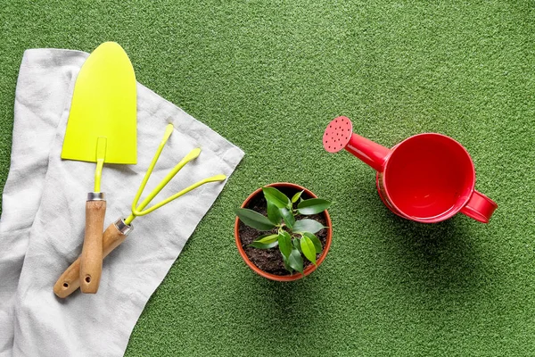 Komposition Mit Zimmerpflanze Und Gartengeräten Auf Farbigem Hintergrund — Stockfoto