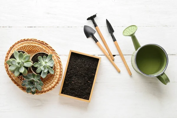 stock image Composition with gardening tools and succulents on light wooden background