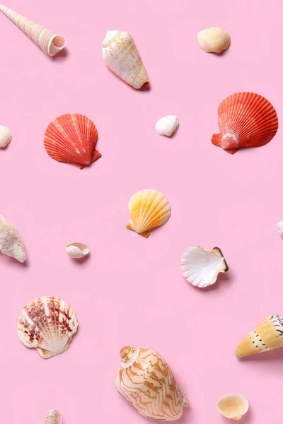 Sok Különböző Kagylók Rózsaszín Háttér — Stock Fotó