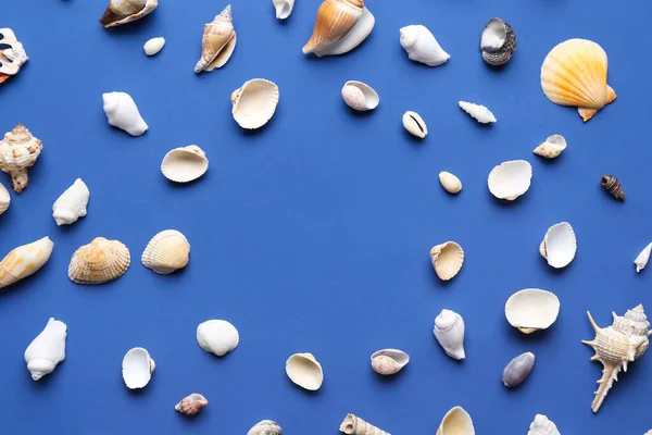 Frame Made Different Seashells Blue Background — Stock Photo, Image
